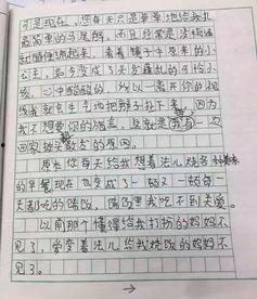 娱乐吃瓜酱小学生作文,小学生眼中的娱乐圈风云