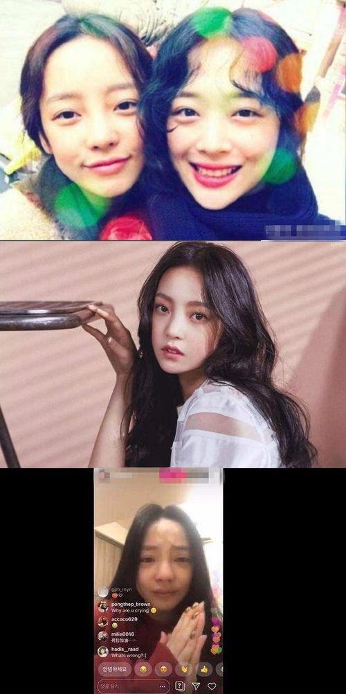 娱乐圈综艺小说吃瓜,吃瓜群众逆袭记
