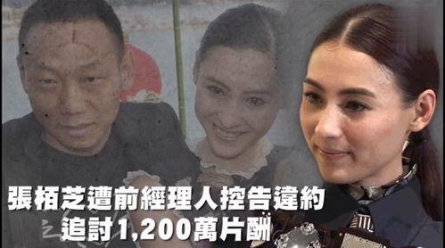 娱乐吃瓜族,揭秘吃瓜群众的狂欢盛宴