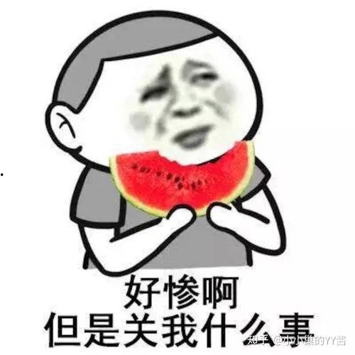 娱乐吃瓜酱好奇心路历程,揭秘好奇心驱动的探秘之旅