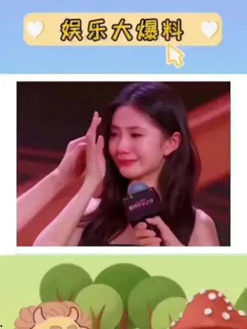 娱乐圈吃瓜神评论,揭秘明星背后的真相与笑料