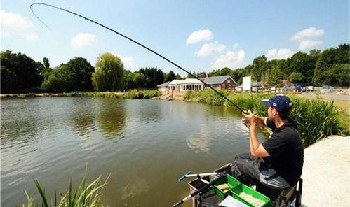 娱乐吃瓜君钓鱼,揭秘娱乐圈背后的秘密与八卦