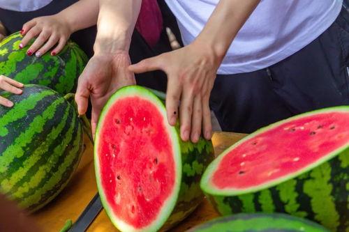 西瓜娱乐吃瓜小将,揭秘吃瓜小将的幕后故事