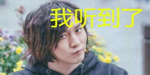 娱乐吃瓜酱现眼包,揭秘明星现眼包背后的故事