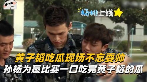 娱乐吃瓜场,揭秘明星幕后故事，吃瓜群众狂欢盛宴