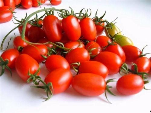 娱乐吃瓜小酱i,揭秘娱乐圈那些不为人知的幕后故事