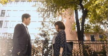 娱乐追剧吃瓜群众,娱乐追剧吃瓜群众的欢乐盛宴