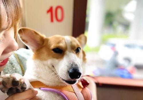 吃瓜娱乐 爆料网站大全,揭秘热门八卦资讯！