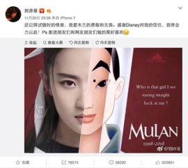 娱乐吃瓜解说大全最新版,盘点年度最热话题，揭秘明星幕后故事