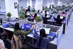 娱乐公司员工吃瓜现场,员工吃瓜现场揭秘幕后故事