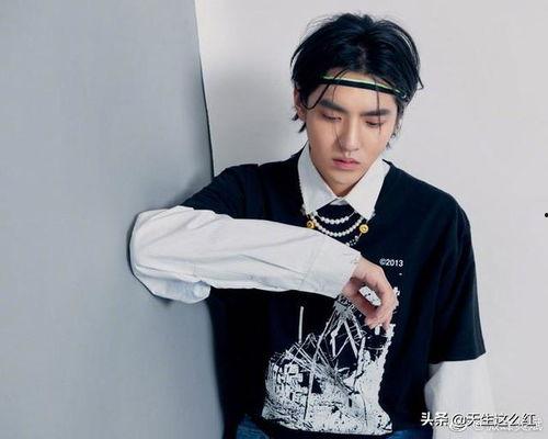 吃瓜娱乐圈男明星图片,娱乐圈男明星的时尚风采大揭秘