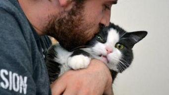 吃瓜娱乐的喵哥是谁啊视频