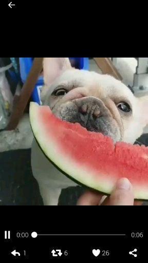 聊娱乐的吃瓜群众评价是什么