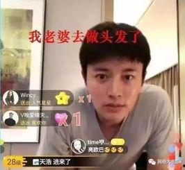 娱乐圈吃瓜反转,真相与谣言的较量