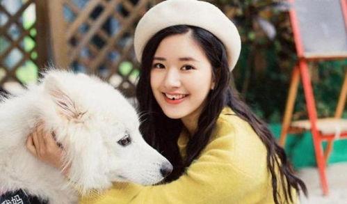 吃瓜星娱乐赵露思鞠婧祎,演绎娱乐圈风云变幻