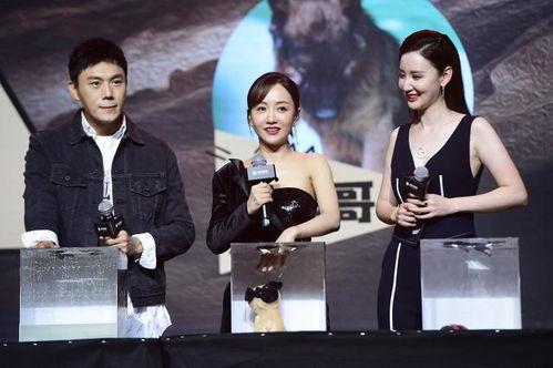 明星娱乐圈吃瓜视频合集,明星吃瓜视频大合集